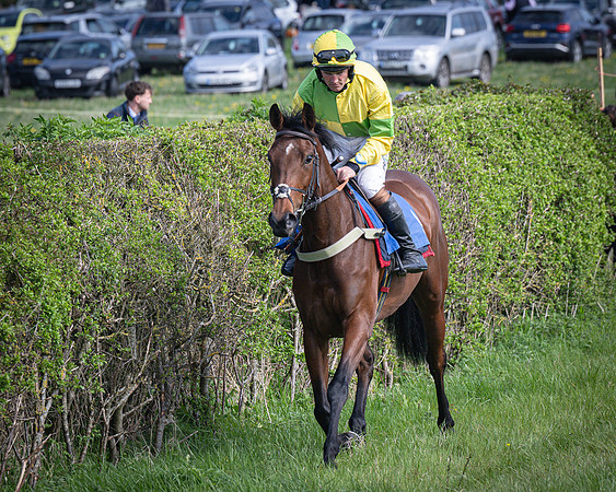 Race 5 - The 5G Restricted Race (10 of 56)