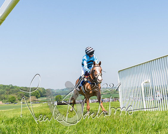 Pony Races  (39 of 141)
