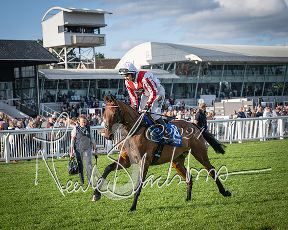 Race 4 - Peretemps Stratford Foxhunters (48 of 168)