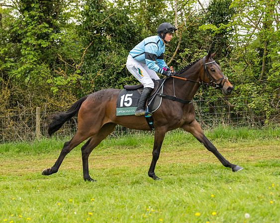 Race 7 - Open Maiden  (6 of 106)