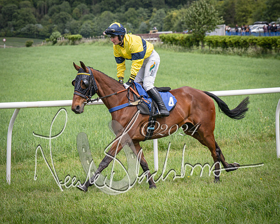Race 1 - The owner-trainer Conditions race (16 of 118)