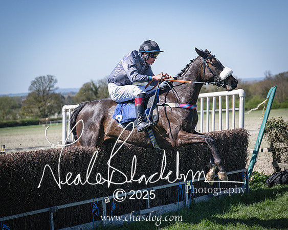 Race 2 - The Maiden (91 of 118)