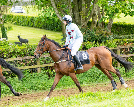 Race 5  - Novice riders (32 of 188)