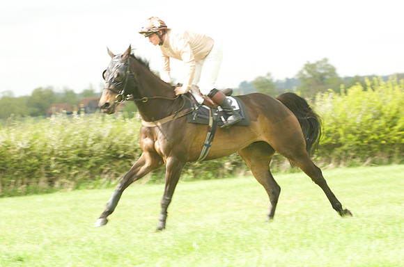 Kimblewick at Kimble Restricted Race
