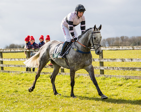 Race 5 - Restricted  (7 of 118)