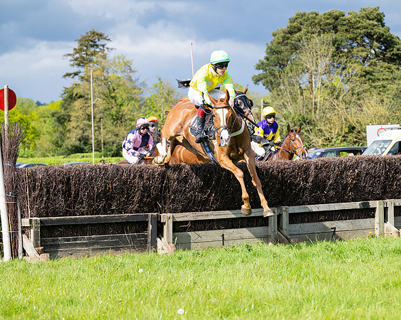 Race 4 -  2M4F Conditions  (42 of 102)