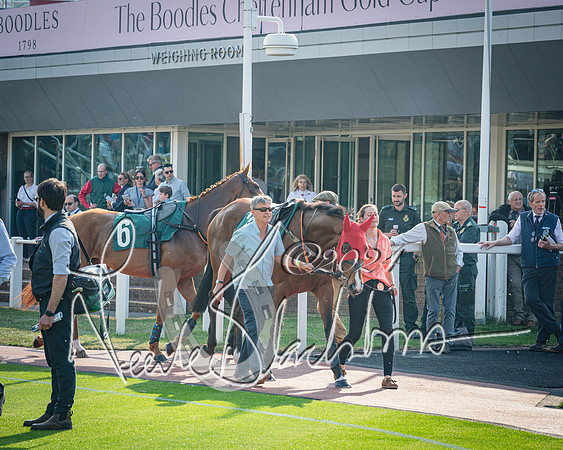 Race 3 - The Junior Jumpers open hunter's steeple chase 3m1f56y (16 of 156)