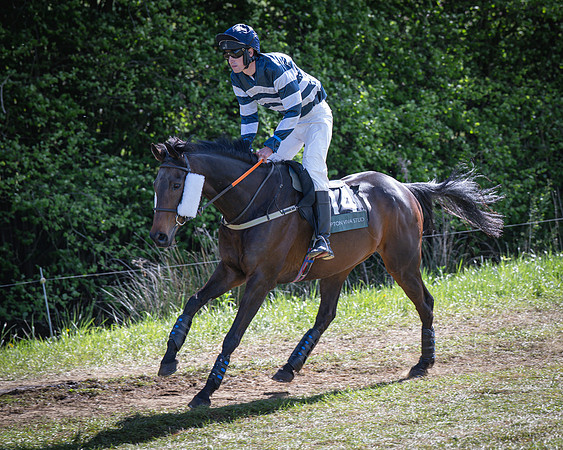 Race 5 - F N Pile and Sons PPORA Novice Riders (2 of 151)