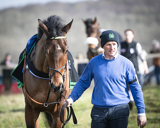 Race 1 - Four and Five year Old Maiden (7 of 137)