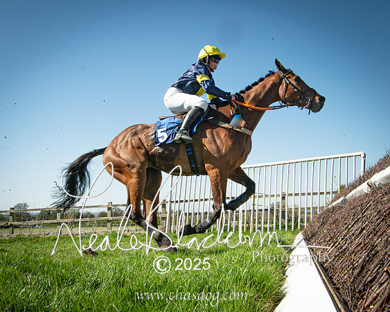 Race 5 - The restricted (78 of 113)