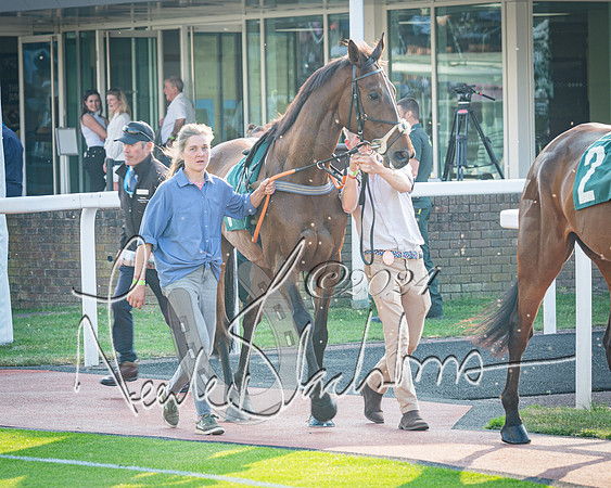 Race 4 - The Jonathan Neesom memorial open Hunter’s steeplechase 3m2f 70y (11 of 167)