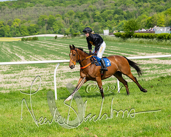 Race 3 - Ladies Open  (53 of 133)