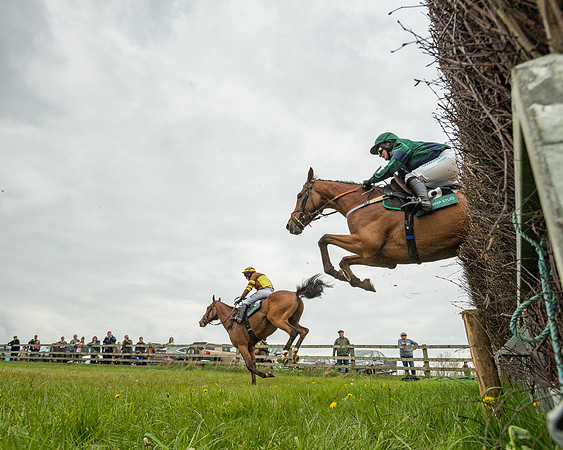 Race 2 - Jockey Club ROR veteran Horse (91 of 104)