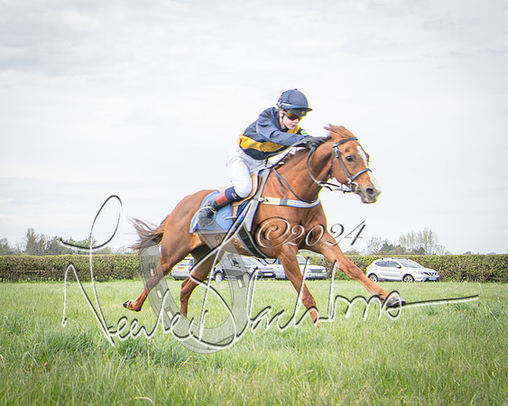 Pony Race 1 (15 of 61)-