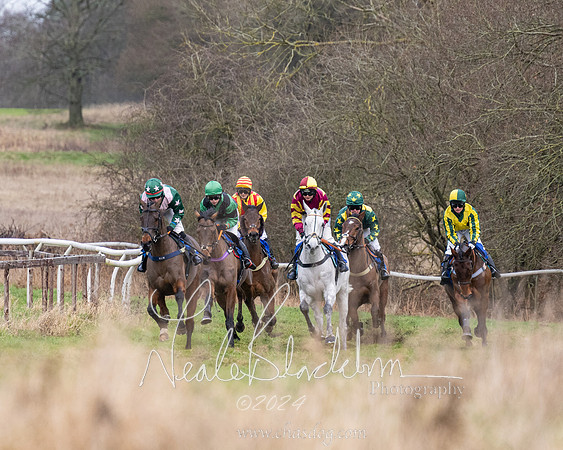 Ladies Open Race  (37 of 175)