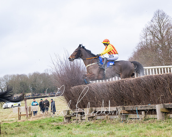 Ladies Open Race  (82 of 175)