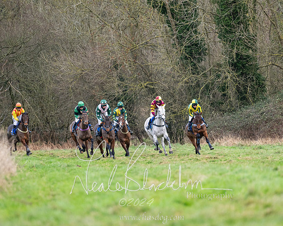 Ladies Open Race  (91 of 175)