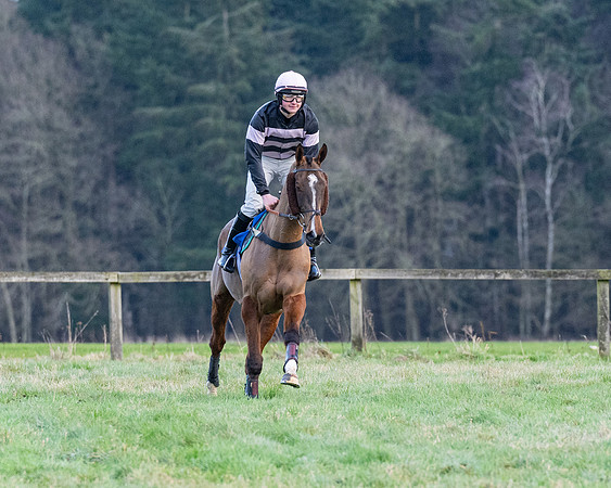 PPORA Novice Riders Race (227 of 474)