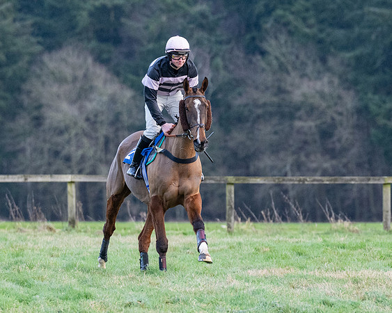 PPORA Novice Riders Race (231 of 474)