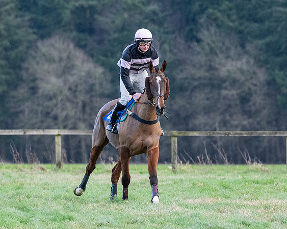 PPORA Novice Riders Race (232 of 474)