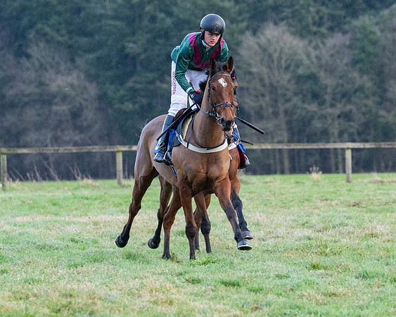 PPORA Novice Riders Race (251 of 474)