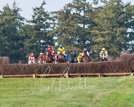 Restricted Race (19 of 153)