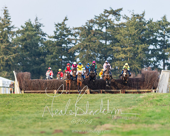Restricted Race (23 of 153)