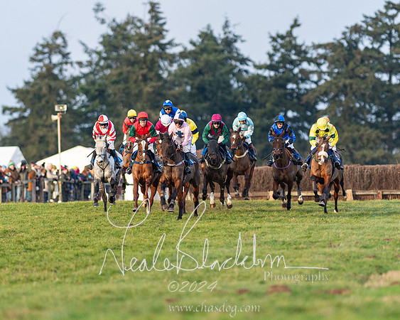 Restricted Race (25 of 153)