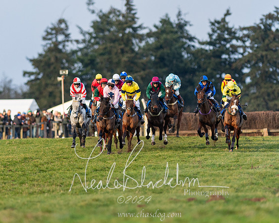 Restricted Race (27 of 153)