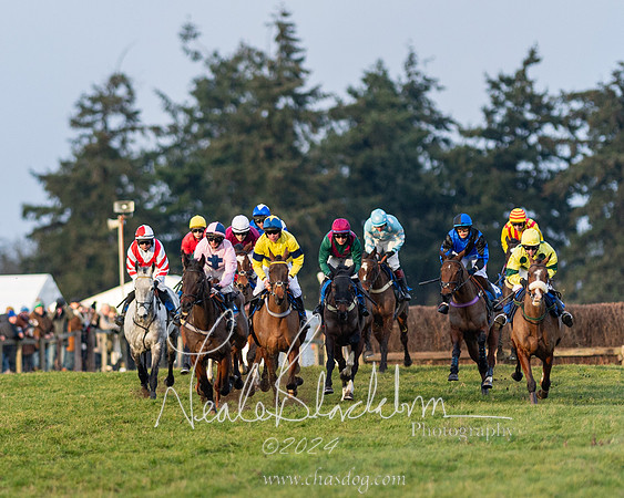 Restricted Race (29 of 153)