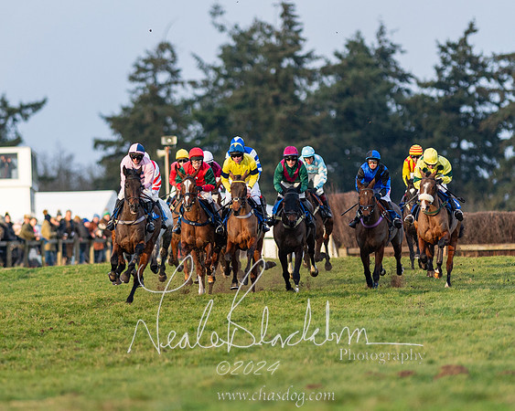 Restricted Race (31 of 153)
