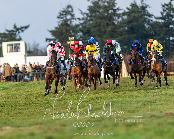 Restricted Race (33 of 153)
