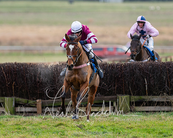 Restricted Race (124 of 153)