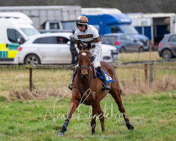 The maiden Div 2 (7 of 246)