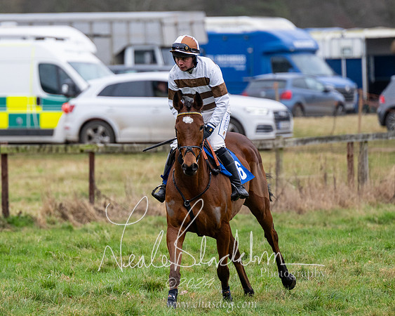 The maiden Div 2 (8 of 246)