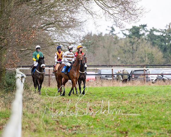 The maiden Div 2 (48 of 246)