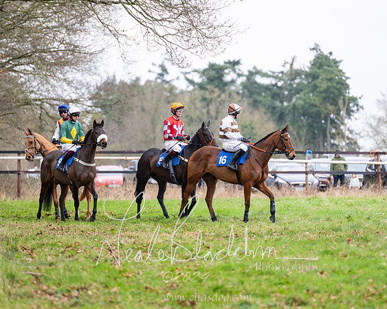 The maiden Div 2 (50 of 246)