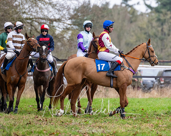 The maiden Div 2 (73 of 246)