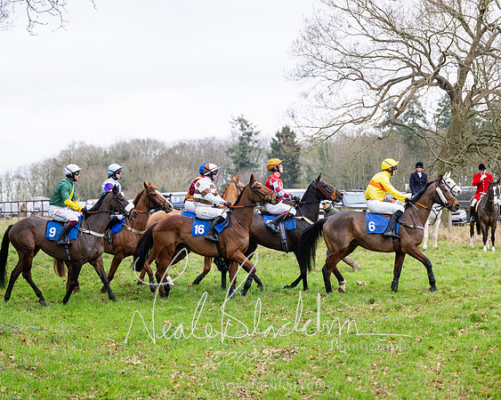 The maiden Div 2 (105 of 246)