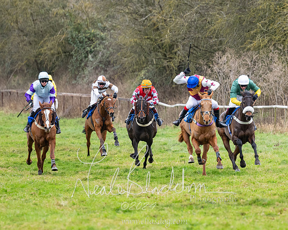 The maiden Div 2 (193 of 246)