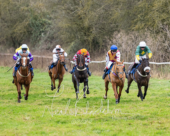 The maiden Div 2 (197 of 246)