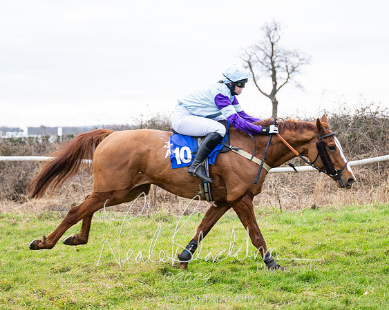 The maiden Div 2 (237 of 246)