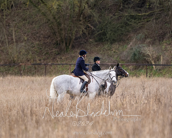 The Veteran horse conditions race (2 of 161)