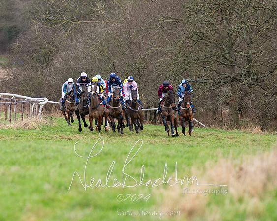 The Veteran horse conditions race (10 of 161)