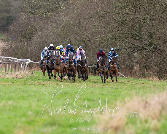 The Veteran horse conditions race (11 of 161)