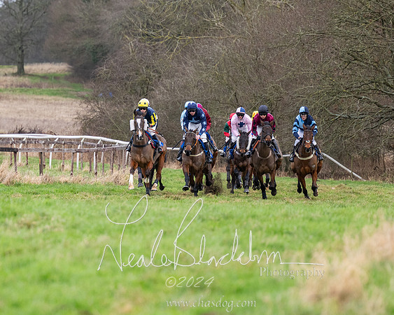The Veteran horse conditions race (17 of 161)