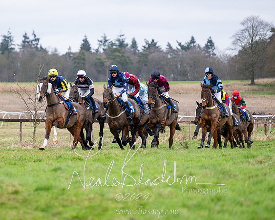 The Veteran horse conditions race (21 of 161)