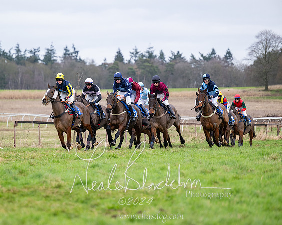 The Veteran horse conditions race (25 of 161)