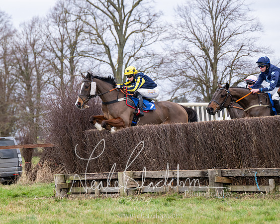 The Veteran horse conditions race (27 of 161)