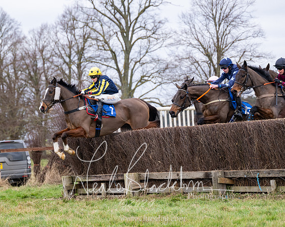 The Veteran horse conditions race (29 of 161)